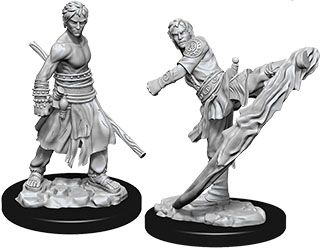 Half-Elf Monk Male (Nolzurs - W10)